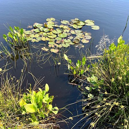 Landzicht Natuur Rust En Ruimte Oosterwolde  Eksteriør billede