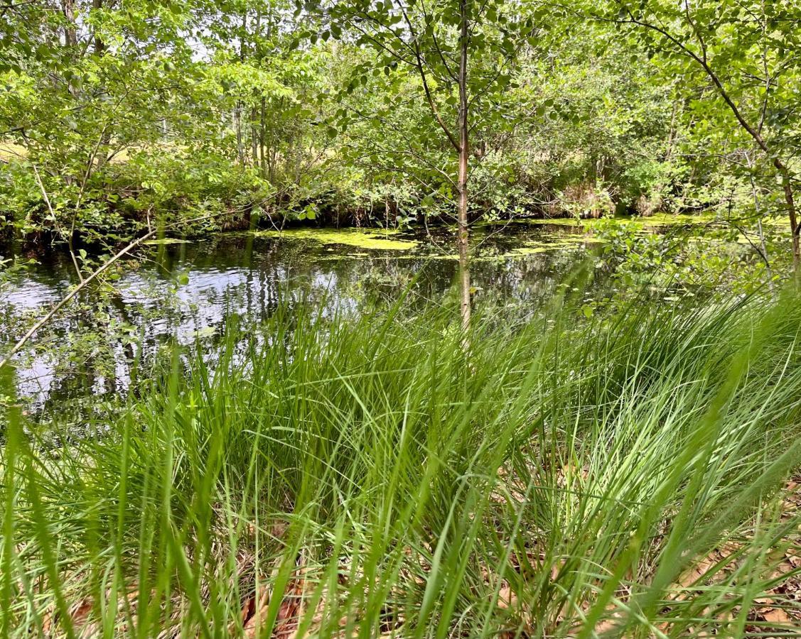 Landzicht Natuur Rust En Ruimte Oosterwolde  Eksteriør billede