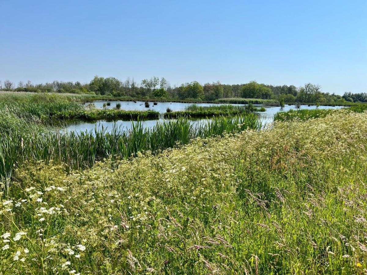 Landzicht Natuur Rust En Ruimte Oosterwolde  Eksteriør billede