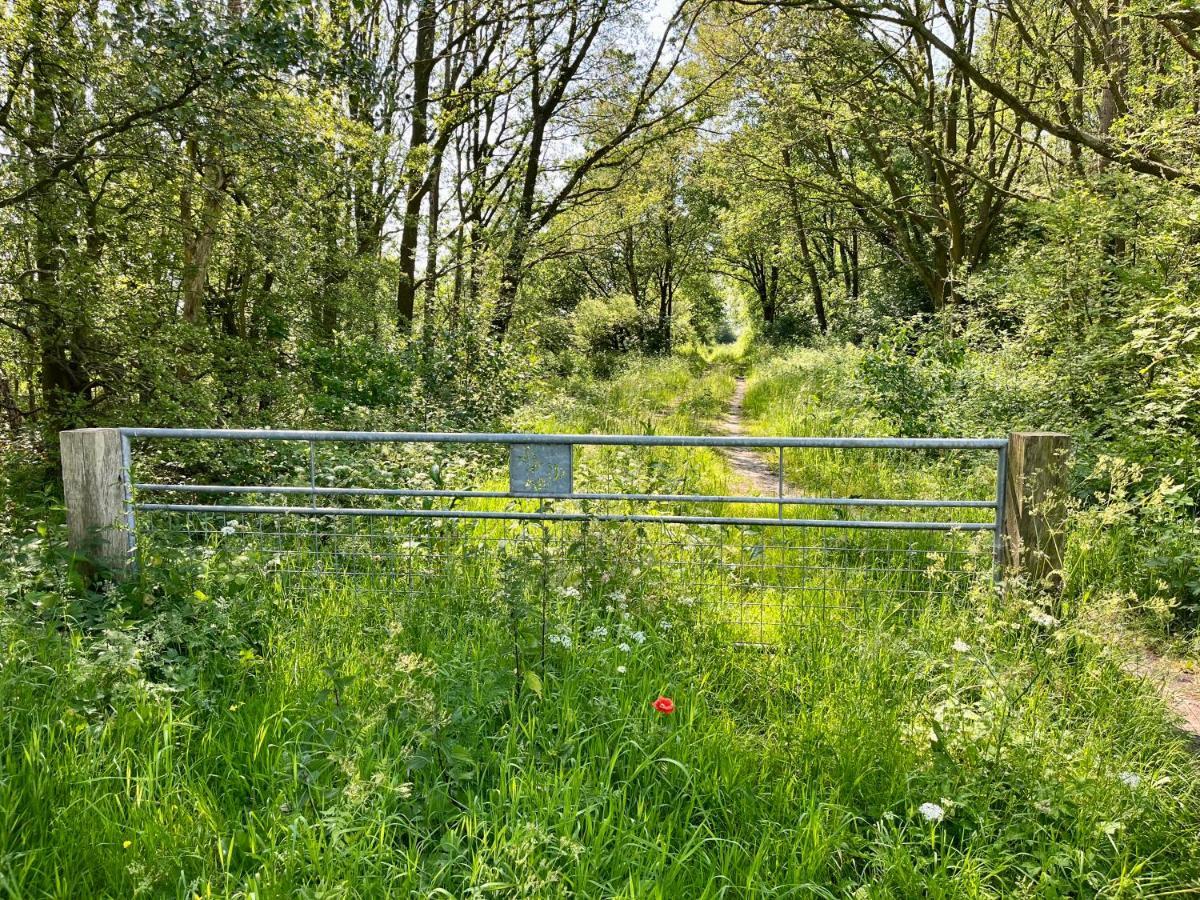 Landzicht Natuur Rust En Ruimte Oosterwolde  Eksteriør billede