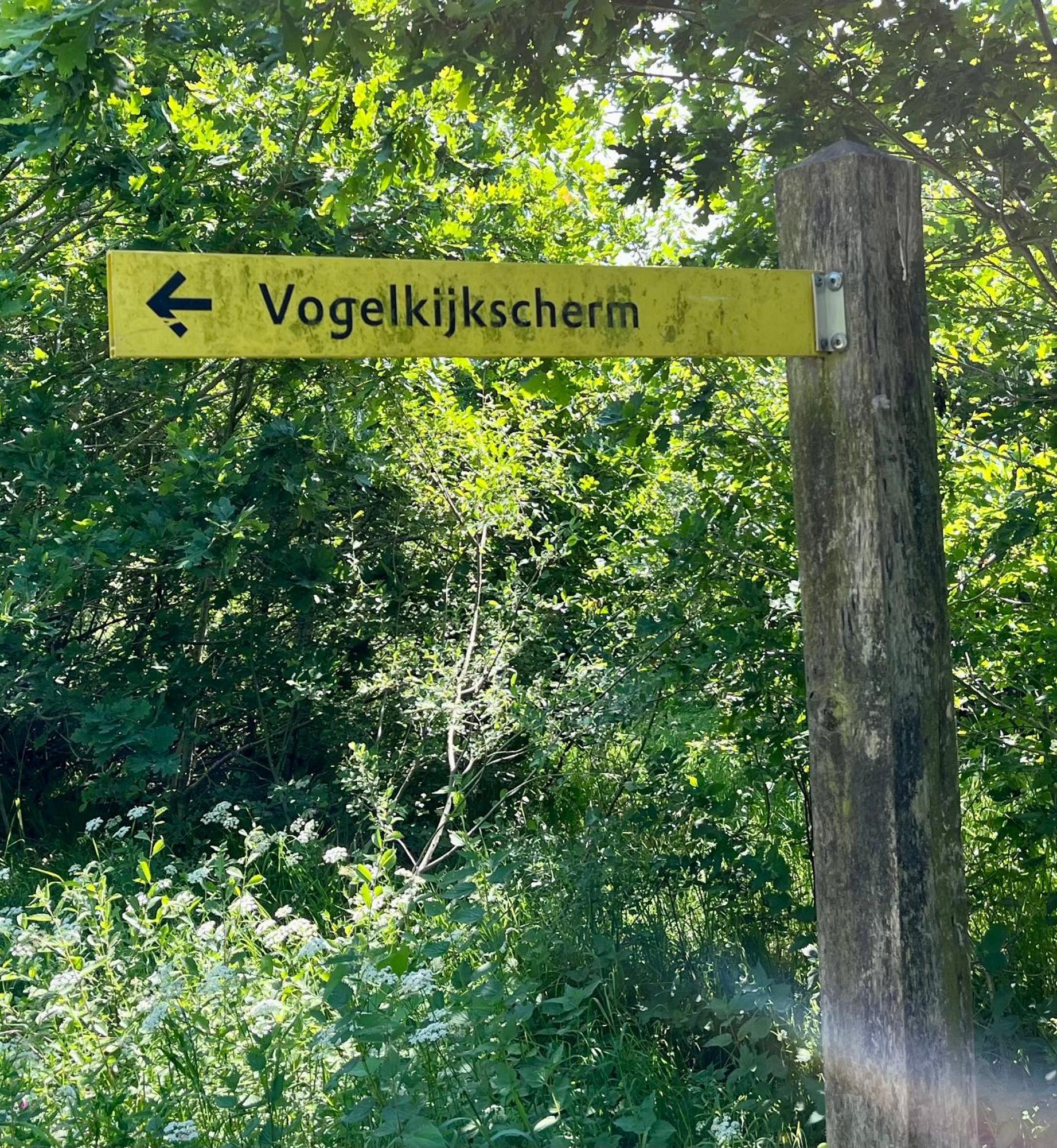 Landzicht Natuur Rust En Ruimte Oosterwolde  Eksteriør billede
