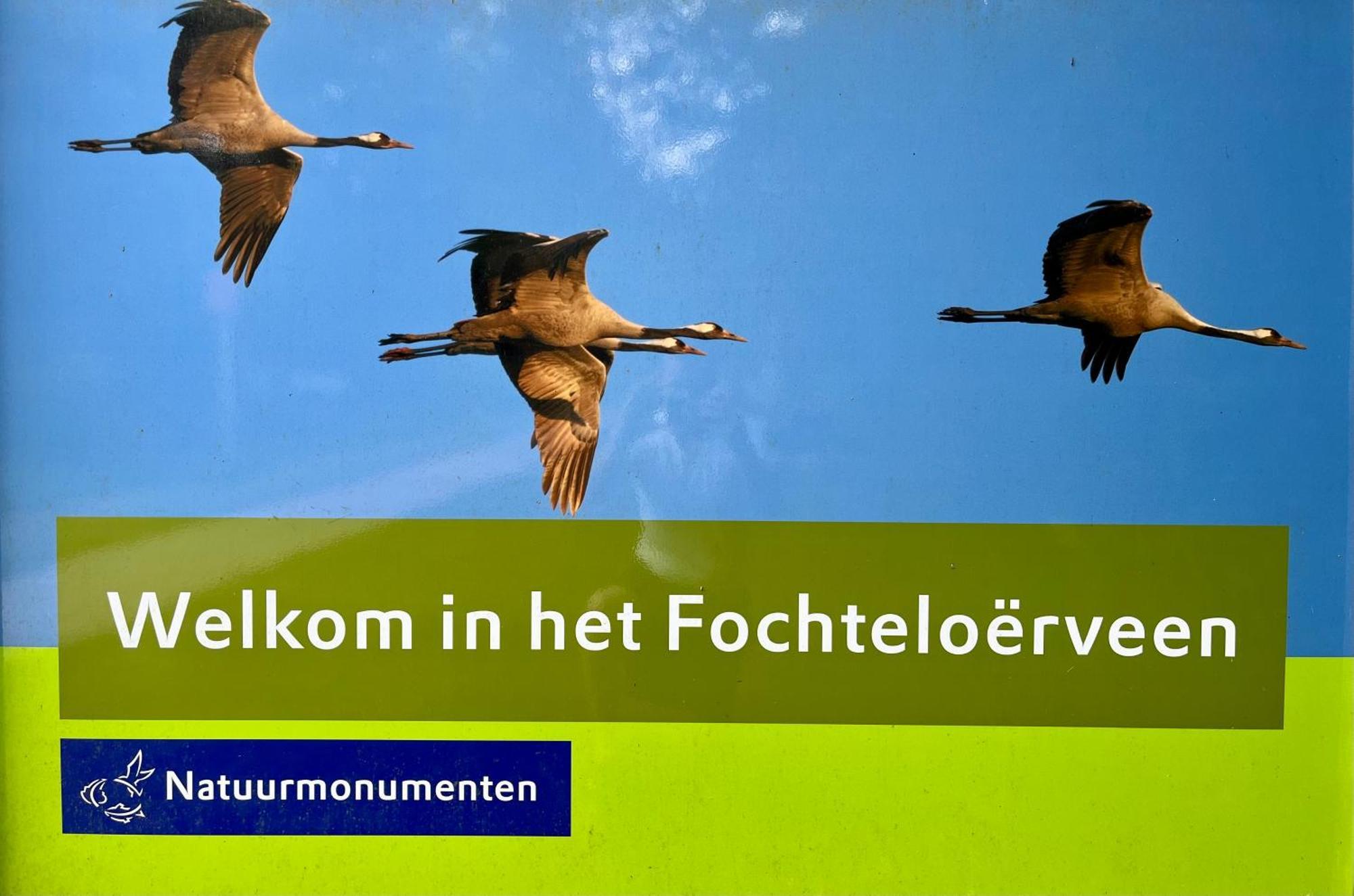 Landzicht Natuur Rust En Ruimte Oosterwolde  Eksteriør billede